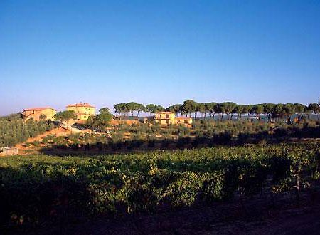 ماسا ماريتيما Villa Il Tesoro المظهر الخارجي الصورة